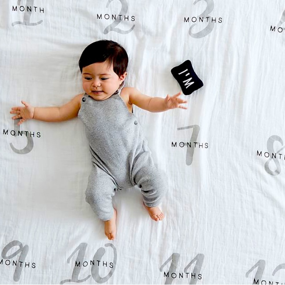 Milestone Baby Blanket + Mini Pollow NWT - Pottery Barn Kids